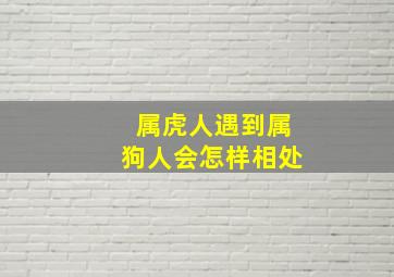 属虎人遇到属狗人会怎样相处