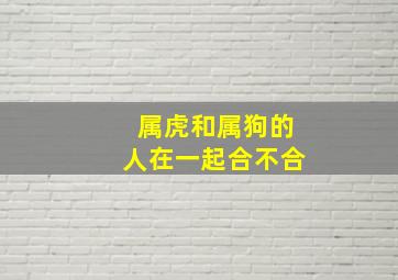 属虎和属狗的人在一起合不合