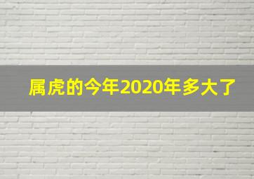 属虎的今年2020年多大了