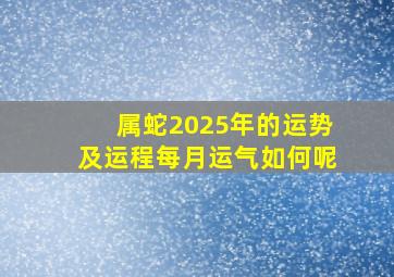 属蛇2025年的运势及运程每月运气如何呢