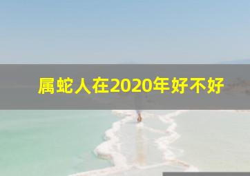 属蛇人在2020年好不好