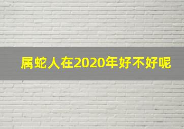 属蛇人在2020年好不好呢