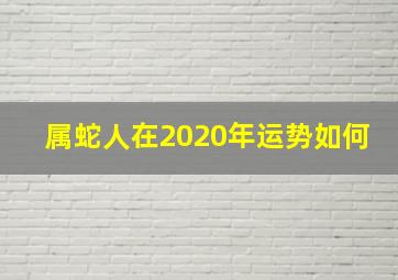 属蛇人在2020年运势如何