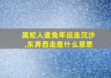 属蛇人逢兔年运走沉沙,东奔西走是什么意思