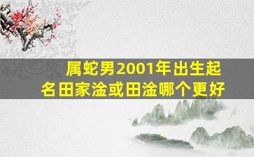 属蛇男2001年出生起名田家淦或田淦哪个更好