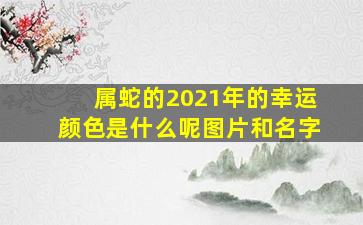 属蛇的2021年的幸运颜色是什么呢图片和名字