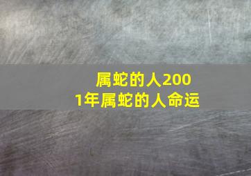 属蛇的人2001年属蛇的人命运