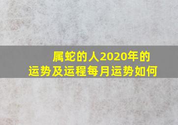 属蛇的人2020年的运势及运程每月运势如何