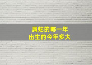 属蛇的哪一年出生的今年多大