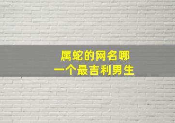 属蛇的网名哪一个最吉利男生