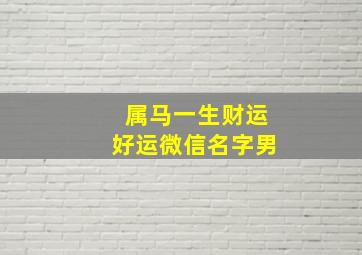 属马一生财运好运微信名字男