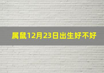 属鼠12月23日出生好不好