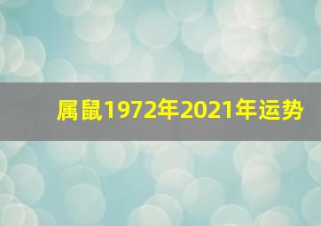 属鼠1972年2021年运势