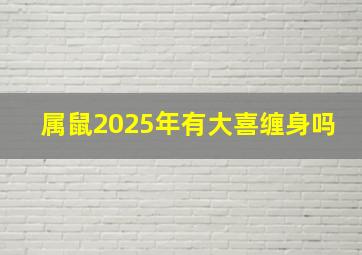 属鼠2025年有大喜缠身吗