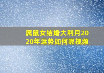 属鼠女结婚大利月2020年运势如何呢视频