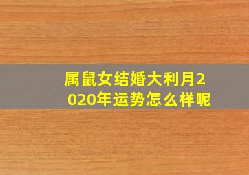 属鼠女结婚大利月2020年运势怎么样呢