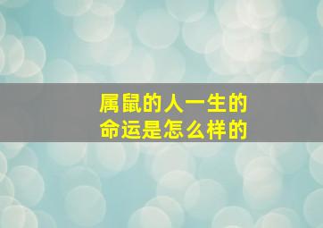 属鼠的人一生的命运是怎么样的