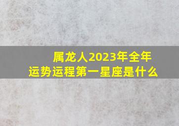 属龙人2023年全年运势运程第一星座是什么