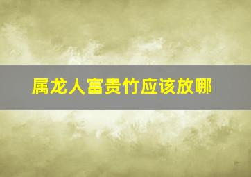 属龙人富贵竹应该放哪