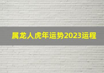 属龙人虎年运势2023运程