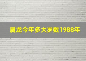 属龙今年多大岁数1988年