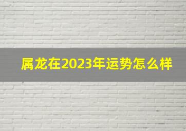 属龙在2023年运势怎么样