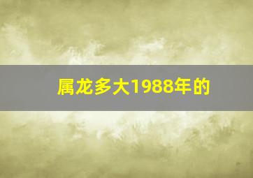 属龙多大1988年的