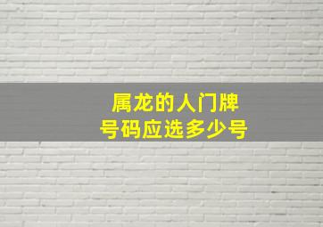 属龙的人门牌号码应选多少号