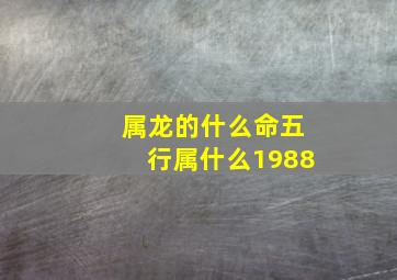 属龙的什么命五行属什么1988