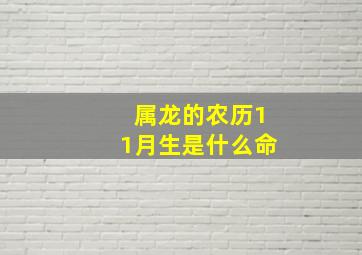 属龙的农历11月生是什么命