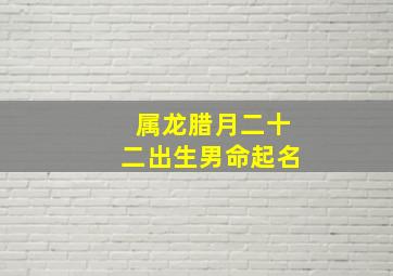 属龙腊月二十二出生男命起名