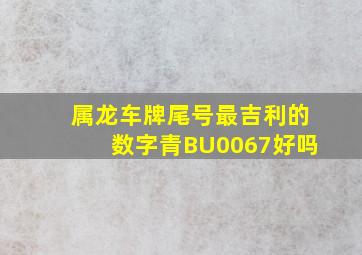 属龙车牌尾号最吉利的数字青BU0067好吗