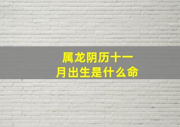 属龙阴历十一月出生是什么命