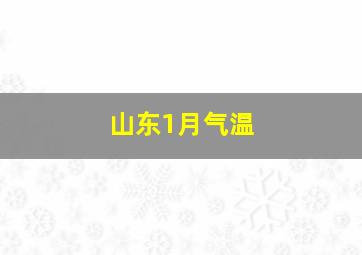 山东1月气温