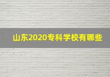 山东2020专科学校有哪些