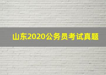 山东2020公务员考试真题