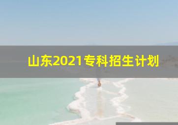 山东2021专科招生计划