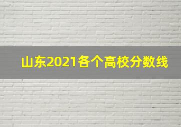 山东2021各个高校分数线