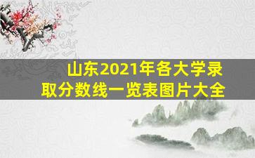 山东2021年各大学录取分数线一览表图片大全