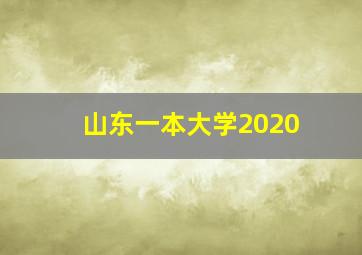 山东一本大学2020