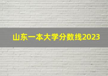 山东一本大学分数线2023