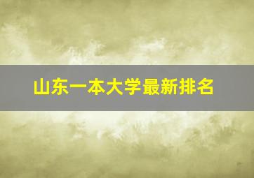 山东一本大学最新排名