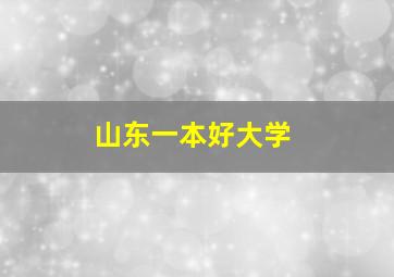 山东一本好大学