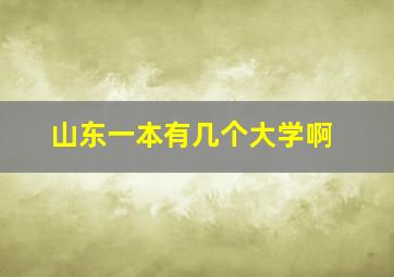 山东一本有几个大学啊