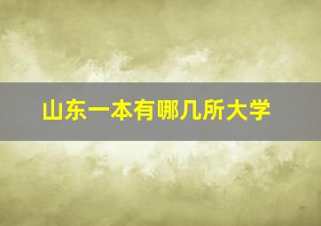 山东一本有哪几所大学