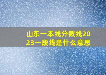 山东一本线分数线2023一段线是什么意思