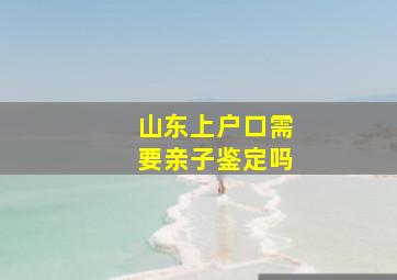 山东上户口需要亲子鉴定吗