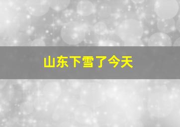 山东下雪了今天