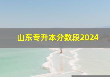 山东专升本分数段2024