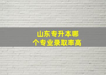 山东专升本哪个专业录取率高